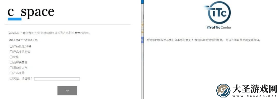 海外问卷小项目
