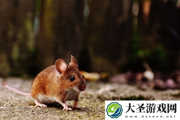 科学家首次让2只雄性老鼠产仔