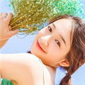 新擎app免费安卓版