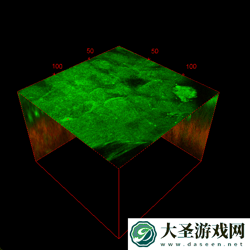 双光子显微镜看到了在轨航天员的“三维皮肤”