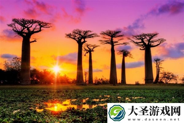 中国科学家在非洲发现消失百余年的濒危植物