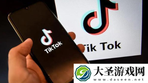 TikTok遭欧洲议会封杀