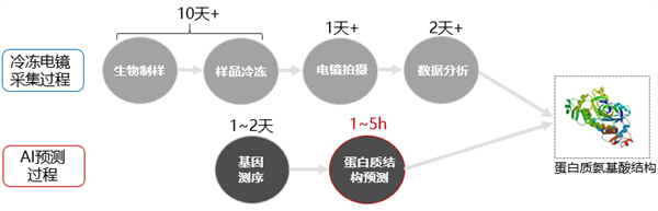 华为昇腾AI预测能力