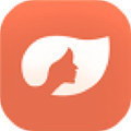 斗破苍穹之无限轮回朽叶永久会员版