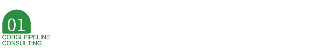 IPD深度剖析
