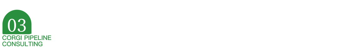 IPD深度剖析