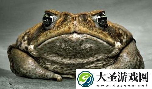 世界之最