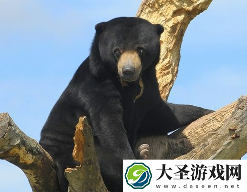 世界之最
