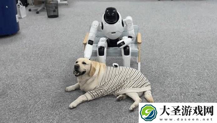 “华为天才少年”彭志辉打造骑车机器人