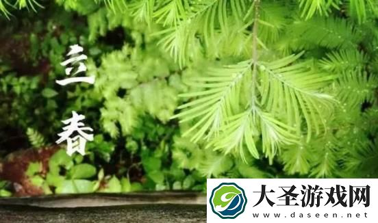立春为什么要“咬春”