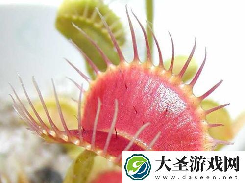 世界之最