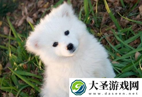 世界之最