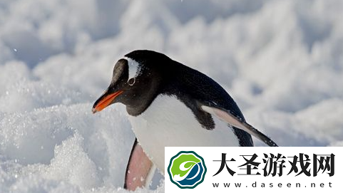 世界之最