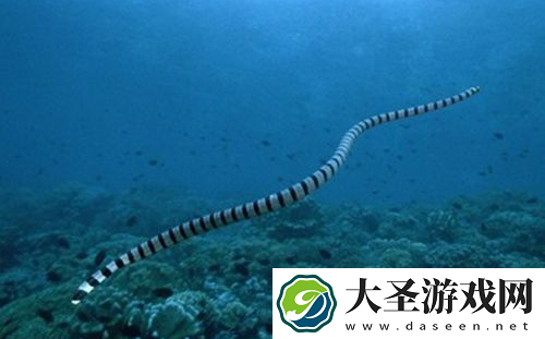 世界之最