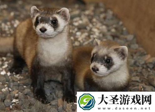 世界之最