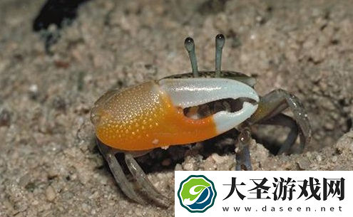 世界之最