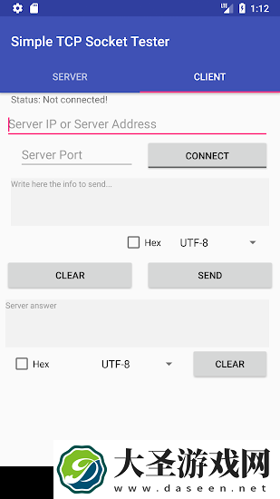 Simple TCP Socket Tester