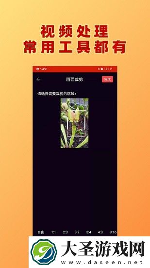 视频加文字
