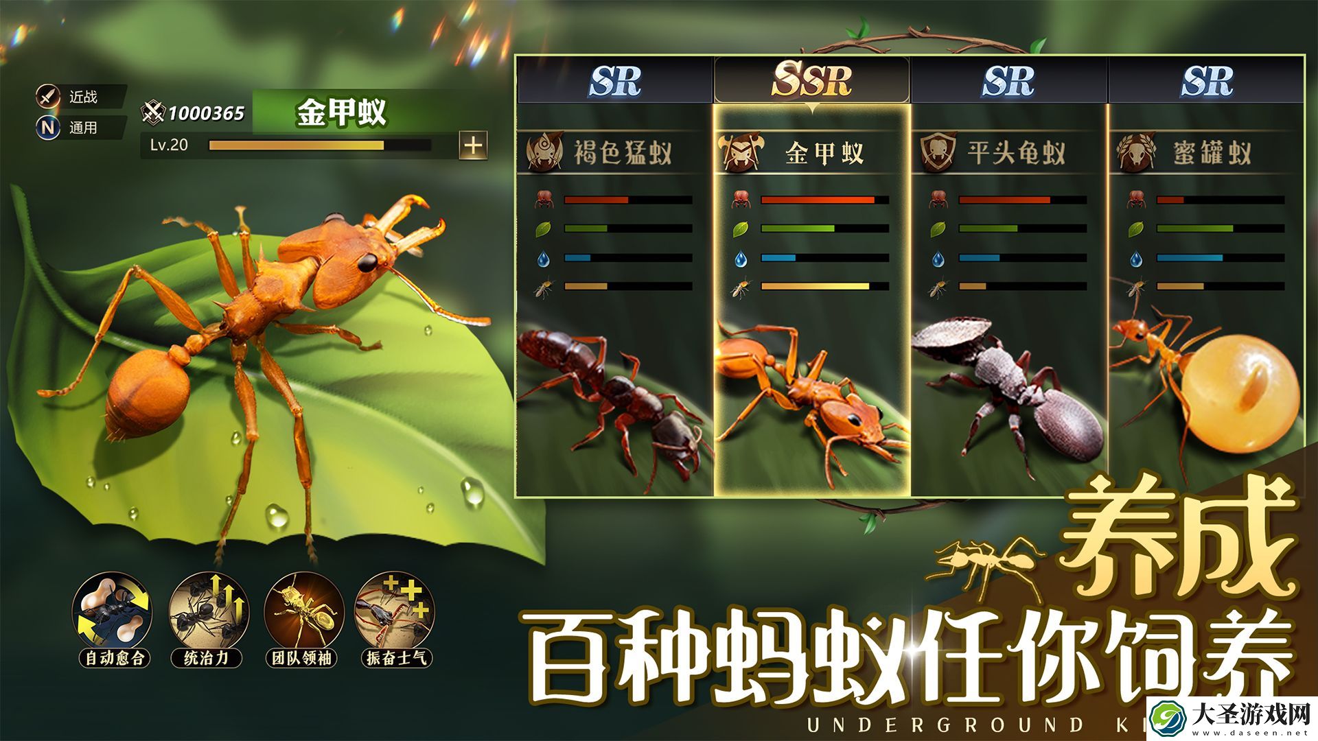 小小蚁国
