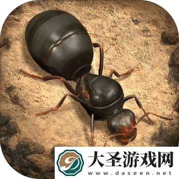 小小蚁国