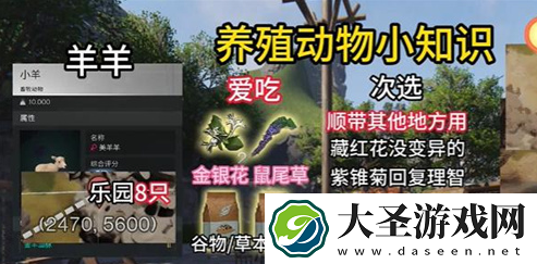七日世界动物养什么好