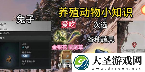 七日世界动物养什么好