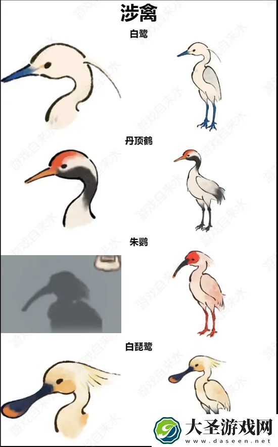 桃源深处有人家鸟类辨认有那些方法
