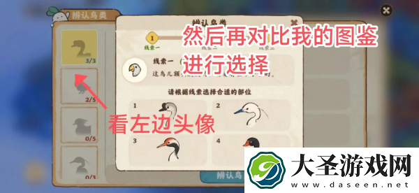 桃源深处有人家鸟类辨认有那些方法