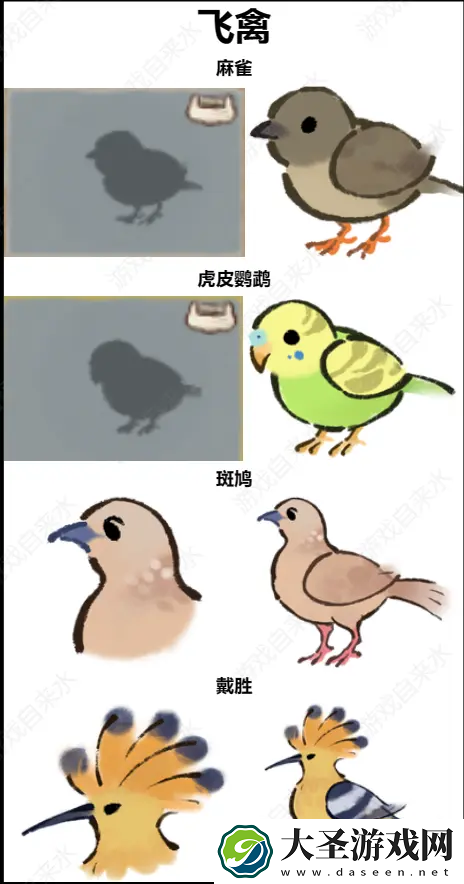 桃源深处有人家鸟类辨认有那些方法