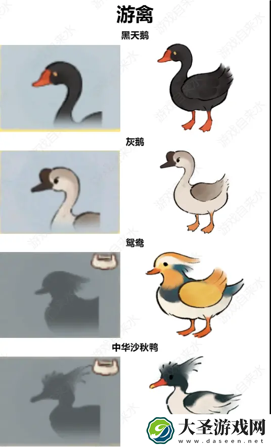 桃源深处有人家鸟类辨认有那些方法