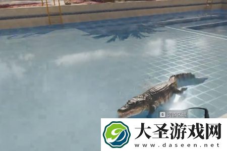 三角洲行动