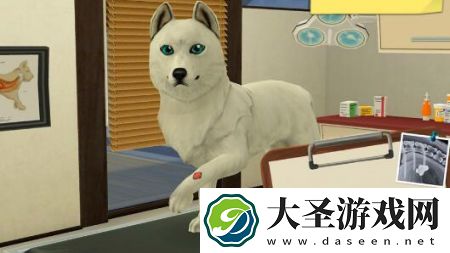 宠物救助模拟器