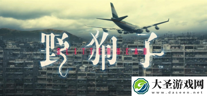 野狗子奇才怎么获得