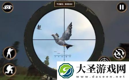 鸽子射击