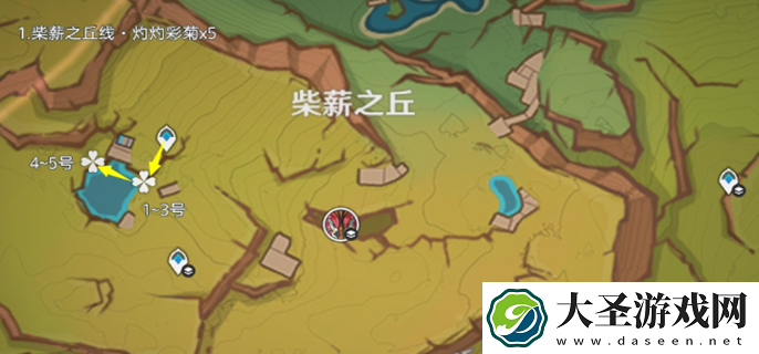 原神灼灼彩菊哪里多