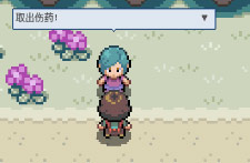 pokemmo关都攻略