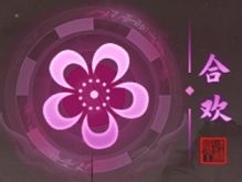 我的神功
