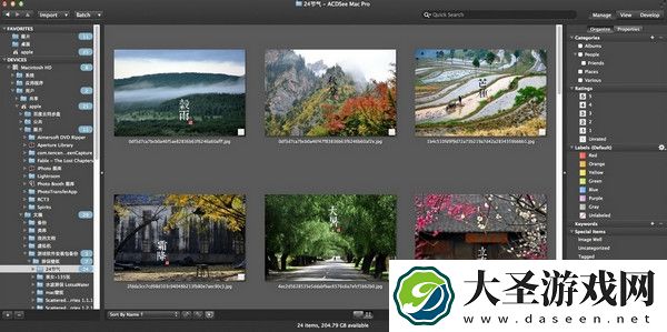acdsee3.0绿色版