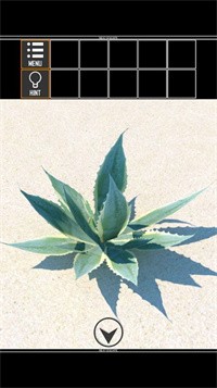 海上荒岛逃生 海上荒岛逃生